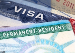 US Immigration Paths: Family Sponsorship Options green card